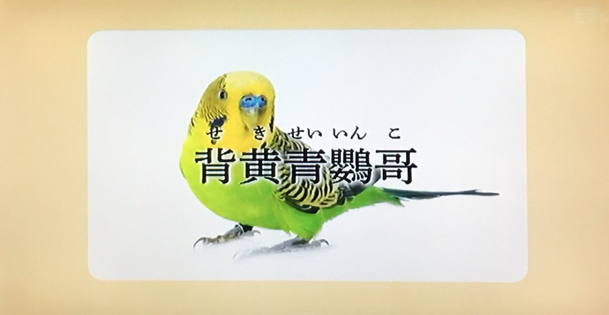 なんだこれ この漢字ぃ 独特なメロディにのせて難読漢字を繰り出すナイツ土屋さんの 0655 おはようソング すごい漢字 にハマる人が続出 Togetter