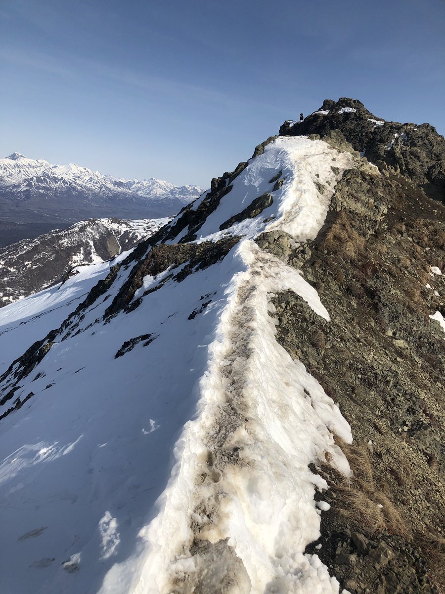 Ryan Turrentine tweet media