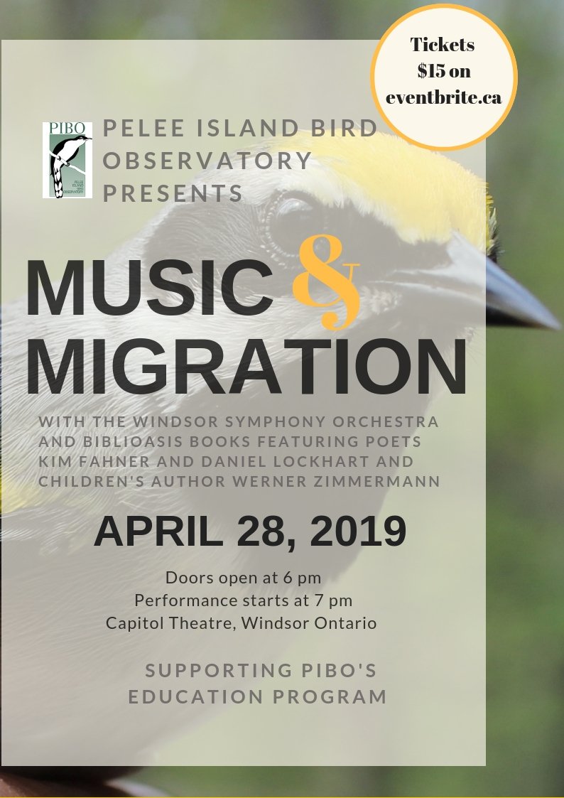 DrawingWerner's tweet photo. Looking forward visiting Windsor to share At The Pond at this great fundraiser for the Pelee Island Bird Observatory!  See you there if you're in the area! https://t.co/IK5wkGPhJp