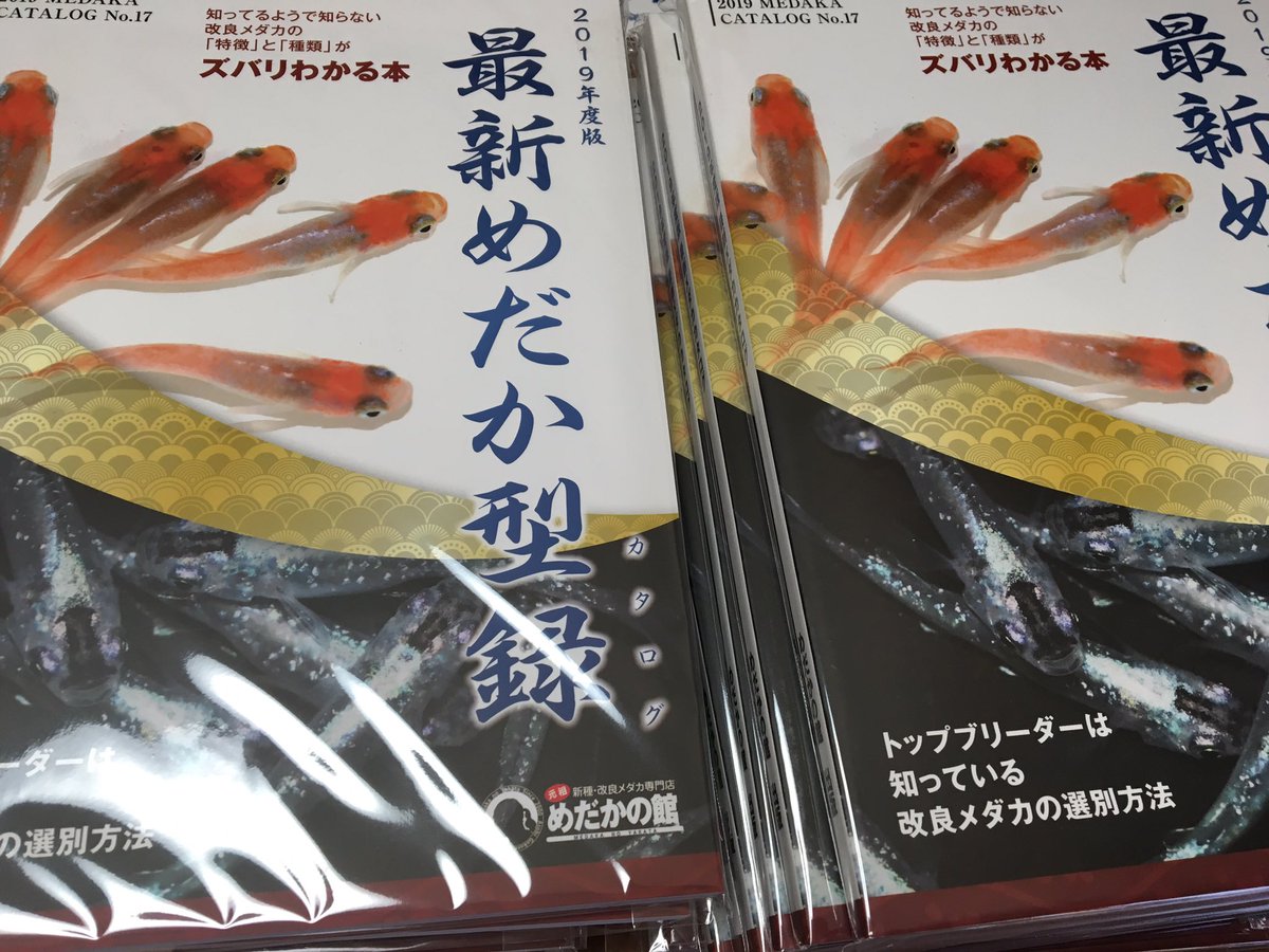 メダカの本屋さん 業者様卸大歓迎 本日より販売スタート できる限り今日受けたものは今日発送しようと頑張ります 購入は下記をクリック Amazonで19年度版最新メダカカタログ Mook 大場幸雄 Jan 01 19 価格 1 500 T Co