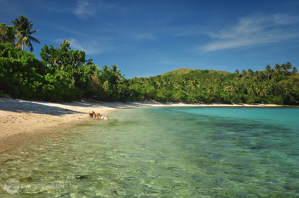 PHBeachHoliday's tweet photo. Subic Beach is a pinkish-white sand beach composed of two segments and located in the island of Calintaan off Matnog, Sorsogon. Explore Sorsogon here at https://t.co/TloSB6DPXa #SubicBeach #Matnog  #Sorsogon https://t.co/0IRdbDRHP0