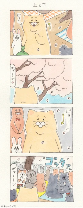 4コマ漫画　ネコノヒー「上と下」/cherry-blossom viewing party 　　単行本「ネコノヒー2」発売中→ 