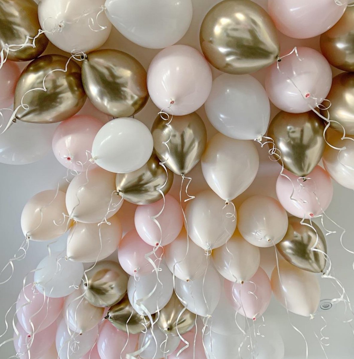 Б.Оюунгэрэл (@balloonhatagtai) on Twitter photo 