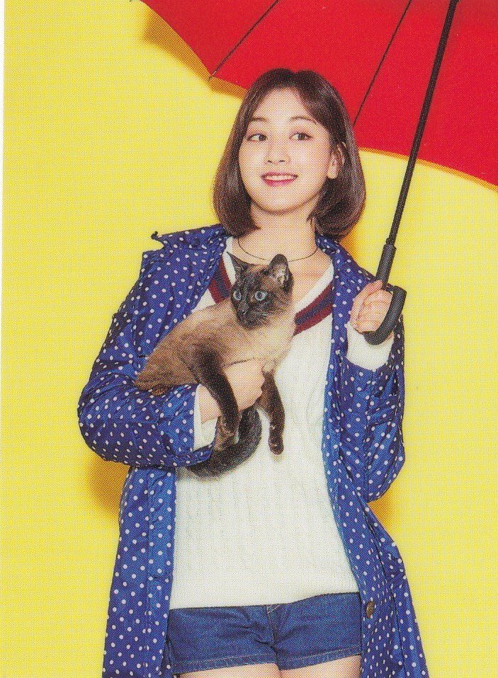 jitzu_th's tweet photo. แตกต่าง เหมือนกัน #dogcatcouple #จีจื่อ #จื่อจี #tzuji #jitzu https://t.co/nCUPMi6IwQ