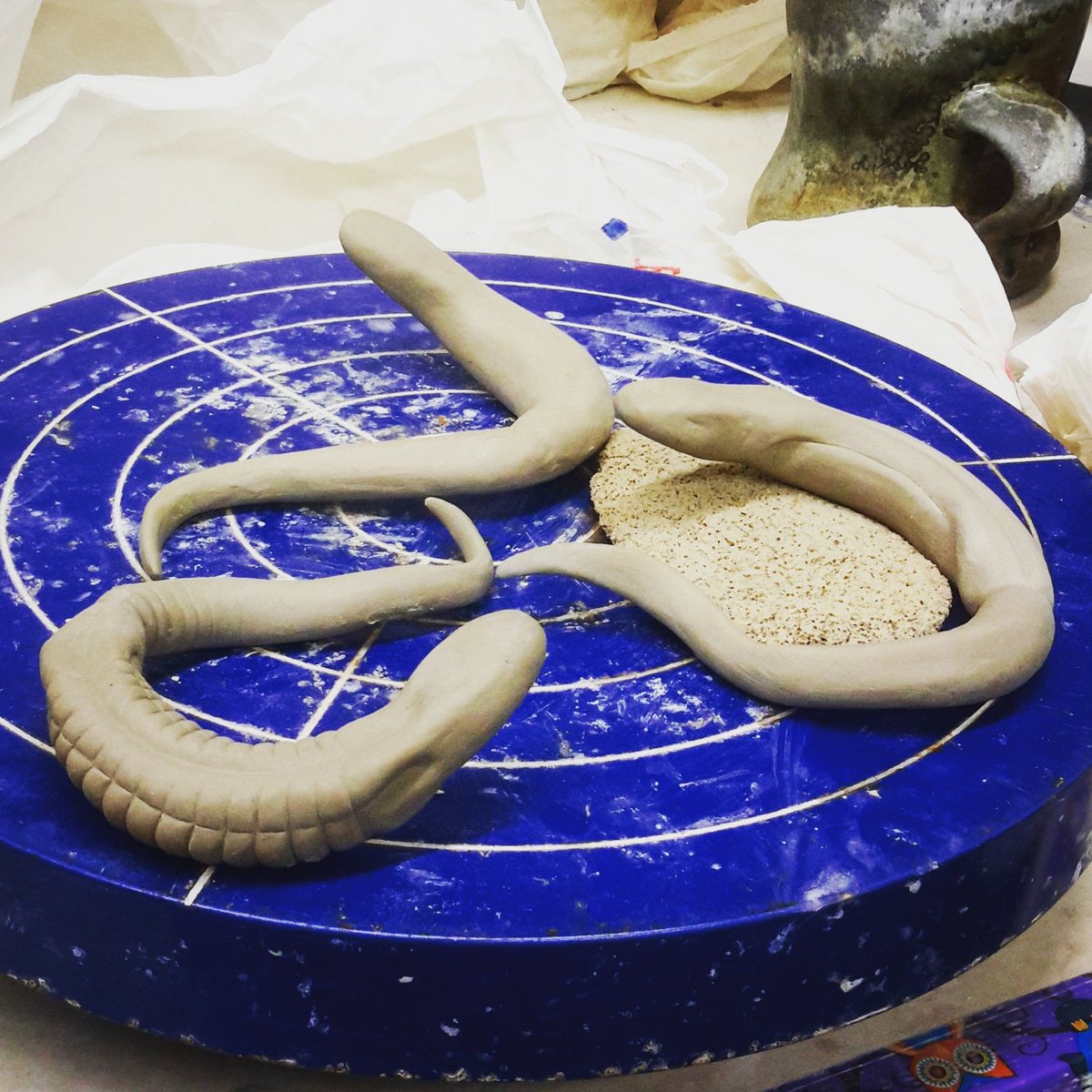 StasevichStudio's tweet image. Stages of salamander torso development.  It's very important to get your salamander correctly muscled before you start in on the bumpies #wip #ceramicprocess #ceramicsculpture #madebyhand #salamander #natureart #naturalist #amphibian #herpetology