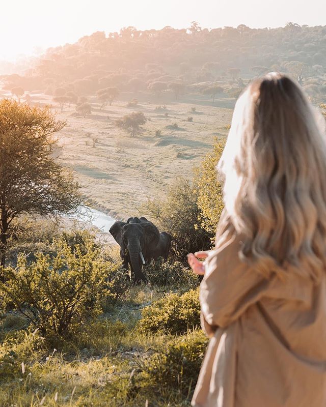 Wildlife Encounters in the Tarangire
📷 by <a href="/palomafts/">Paloma Fts</a>
#HereIsTanzania