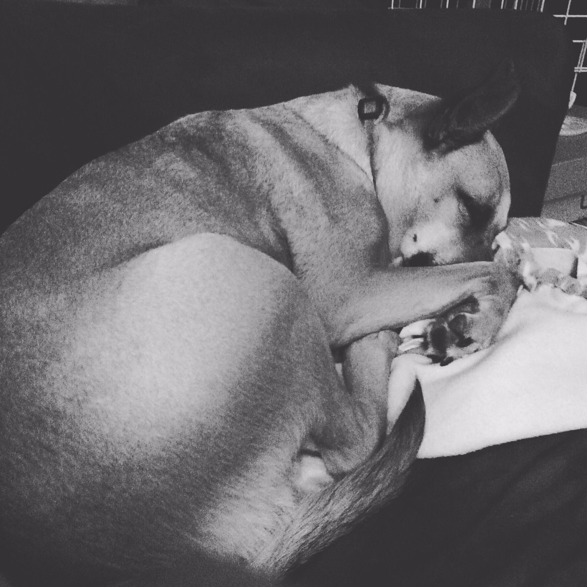 SPNHunterEm's tweet photo. @raiahome https://t.co/xhiVXwyKLe