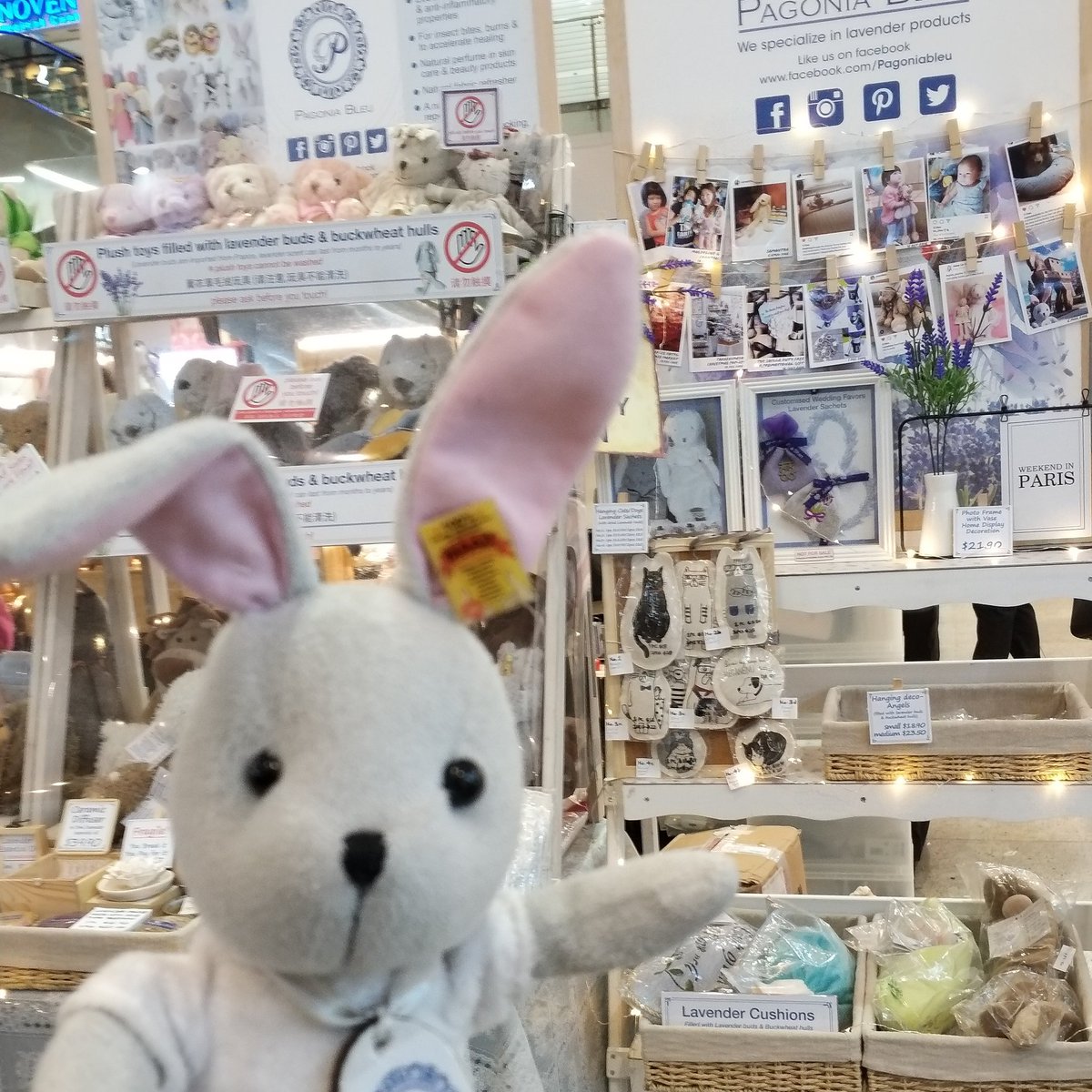 pagoniableu's tweet photo. We're back at the atrium, in front of Spectacle hut,  Square 2 @Novena,. This week only for 4 days, from 1st to 4th April, 11am to 10pm,. Do come and check out our range of lavender products #pagoniableu #allthingslavender #lavendergifts #pachpolehop #lavendercushions https://t.co/kj0oSVfPcj