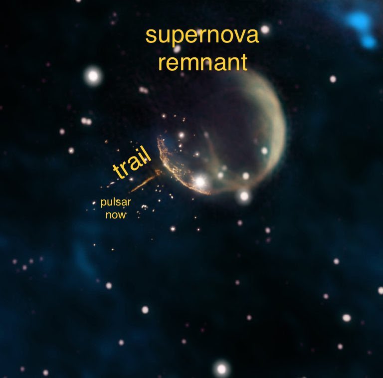 This is an amazing find. A star went supernova, leaving behind an expanding shell of debris &amp; a tiny neutron star (pulsar). The explosion kicked the pulsar out at &gt;1000 km/s, &amp; we can see a trail from the star shooting through space! public.nrao.edu/news/cannonbal… (image credit in link)