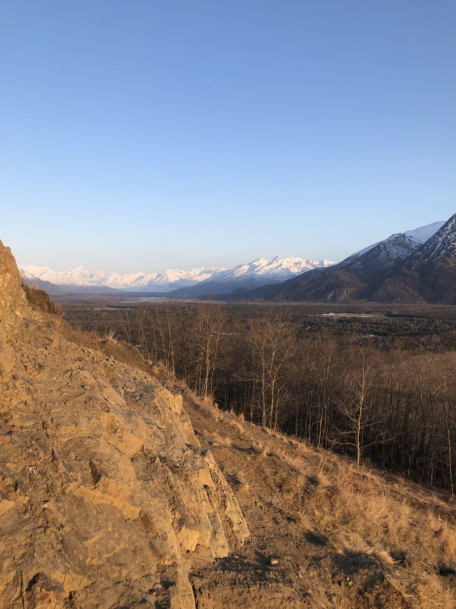 Ryan Turrentine tweet media