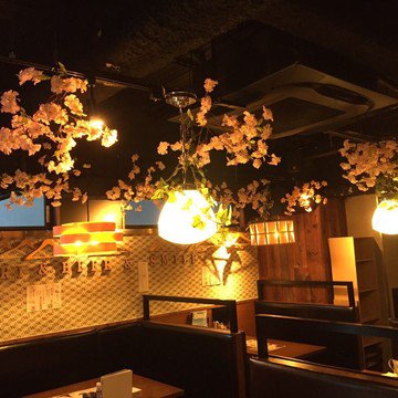 インドア花見が東京で楽しめる居酒屋４選 メニュー 値段 期間は Lovebiotrip 旅する料理研究家 森山さとみ