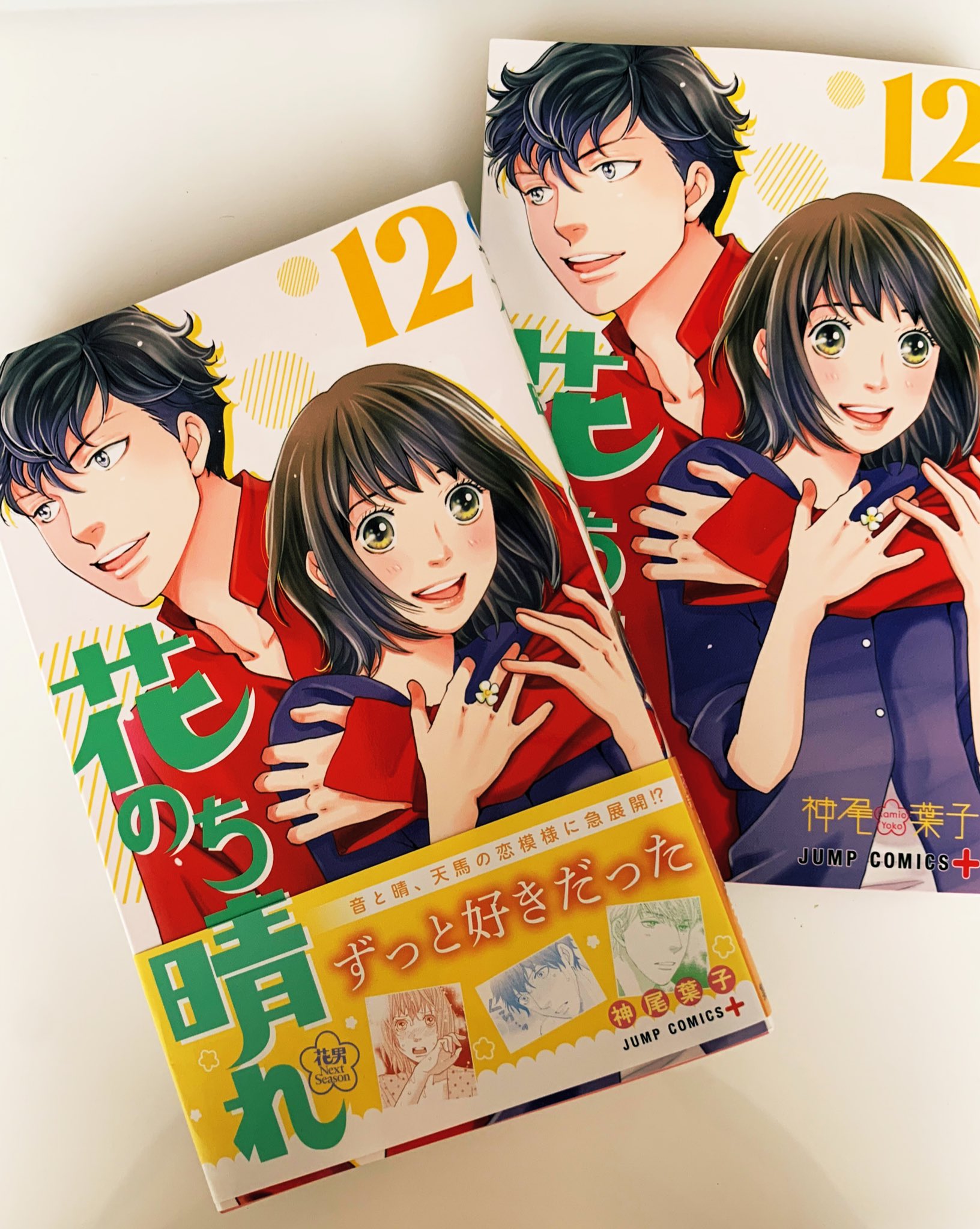 神尾葉子 花のち晴れ12巻が4 4に発売されます ハルトと音 天馬それぞれにとって大事な巻になってます どうぞよろしくお願いします 花晴れ 12巻 T Co W0vikqjjs1 Twitter