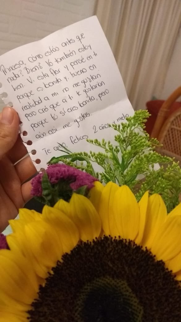Uživatel Awar na Twitteru: „Le regalé un girasol a mi novia con una nota  que decía un diálogo de Shrek cuando va a buscar a Fiona para declararle su  amor. https://t.co/slJOQWlK4q“ /