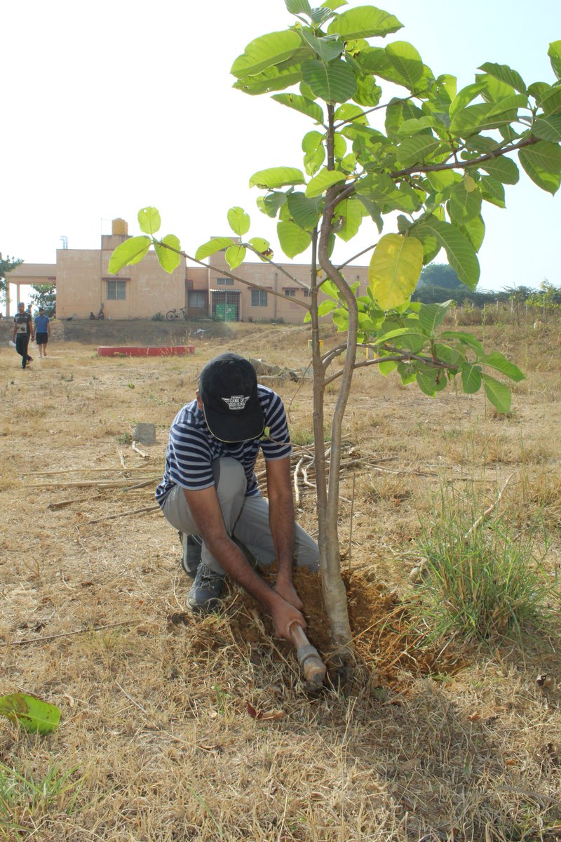 saytrees_ind's tweet photo. May the FOREST be with us !!!
Nature lovers putting efforts to support a small FOREST in #Bengaluru, #India. These  activities also make these green warriors physical fit. 
#SaplingMaintenance #SundayFitness #ForestInCity #Volunteer
@deespeak @UNVolunteers @UNEnvironment https://t.co/JgF2qqMer1