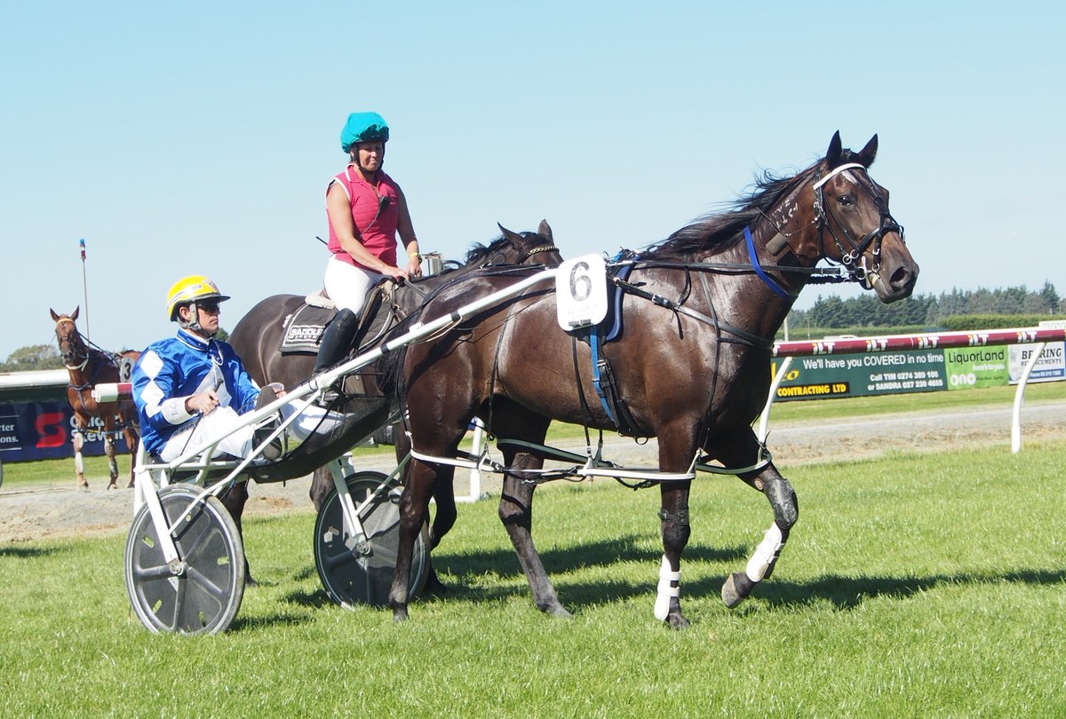 Unbeaten filly heads to USA - plus a word with the All Stars yearling breaker.. and one he says is 'a machine'.
theinformant.co.nz/unbeaten-filly…