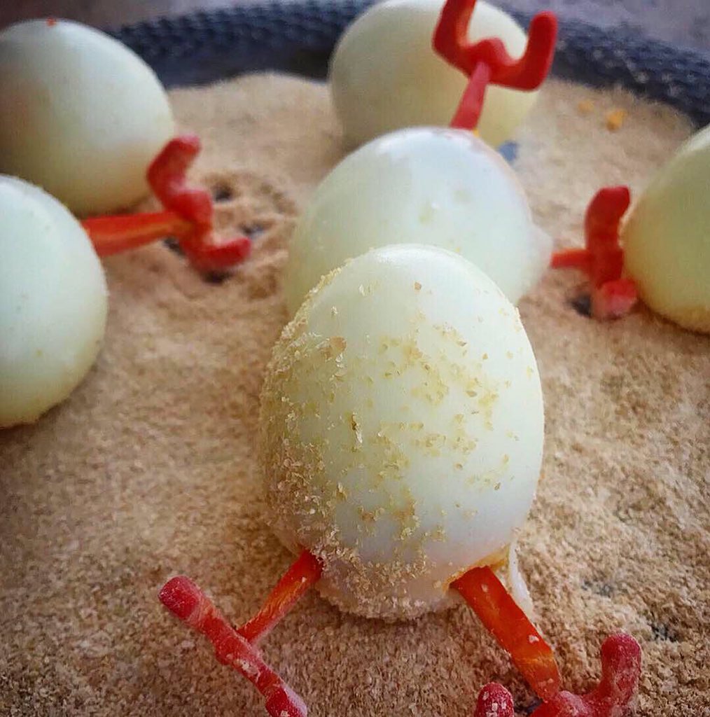 spoonsoflavour's tweet photo. Hatching.๐ฅ๐ฃ
.
#SpoonsOfFlavour #EggCreativity #Artist #Twitter #Instagram #TwitterFood #WHPFoodForThought #AprilFools #MondayMotivation
.
@FoodBloggerAI @manchibaba @foodelhiblog @Zingyzestblogs @BhookaSaand @TwitterFood @instagram @Twitter @incredibleindia @GoogleIndia https://t.co/CZHadhxC5F