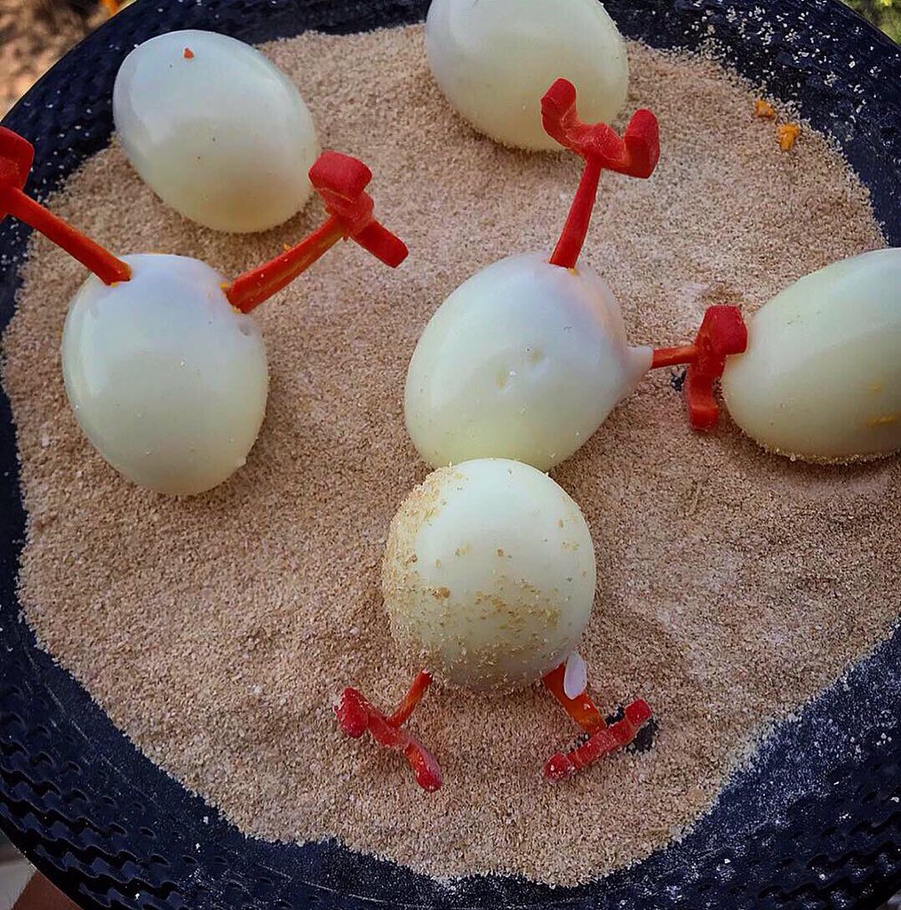 spoonsoflavour's tweet photo. Hatching.๐ฅ๐ฃ
.
#SpoonsOfFlavour #EggCreativity #Artist #Twitter #Instagram #TwitterFood #WHPFoodForThought #AprilFools #MondayMotivation
.
@FoodBloggerAI @manchibaba @foodelhiblog @Zingyzestblogs @BhookaSaand @TwitterFood @instagram @Twitter @incredibleindia @GoogleIndia https://t.co/CZHadhxC5F