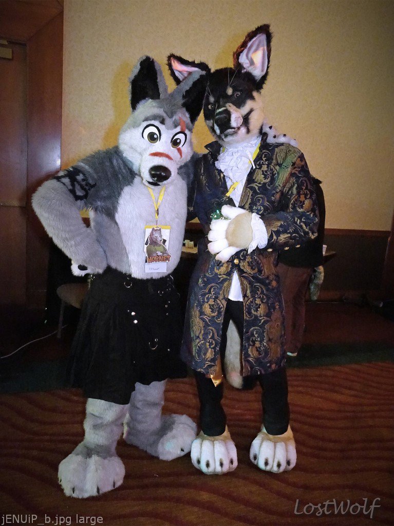 LostWolf321's tweet photo. It's @HornetV2 &amp; @dogbomb1 @rainfurrest #RF2014 https://t.co/hKURgICIkm