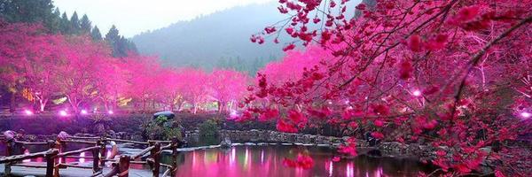 turcoBosta's tweet image. 🔝#TeamSiL🔝
🇫@pqpLUCIFER
🇴@DE_SILVIA_T
🇱@SimplesmenteSyl
🇱@izakira3
🇴@JanHarrison68
🇼@ShipSp2
🇧@SebaEspinoza
🇦@randialso
🇨@GerxCarp_
🇰@Pitbulls_Empire
@666_alhlwan
@malekalby
•@mohdalmuharri
@X100Seguidores
•@illfolowyouback
•@FollowMe1974
@KeomanySonny
•@baCuervo