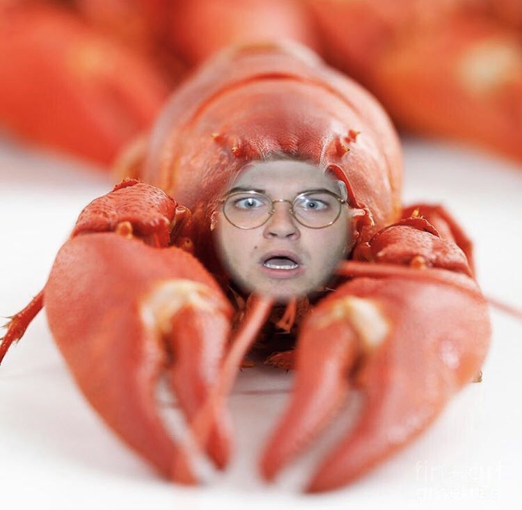 ***BREAKING NEWS***
While everyone hears conspiracy theories about lizard people taking over the US government, very few people realize that crawfish-people have infiltrated our SGA! 
Both the current and future SGA presidents are confirmed to be crawfish-people!