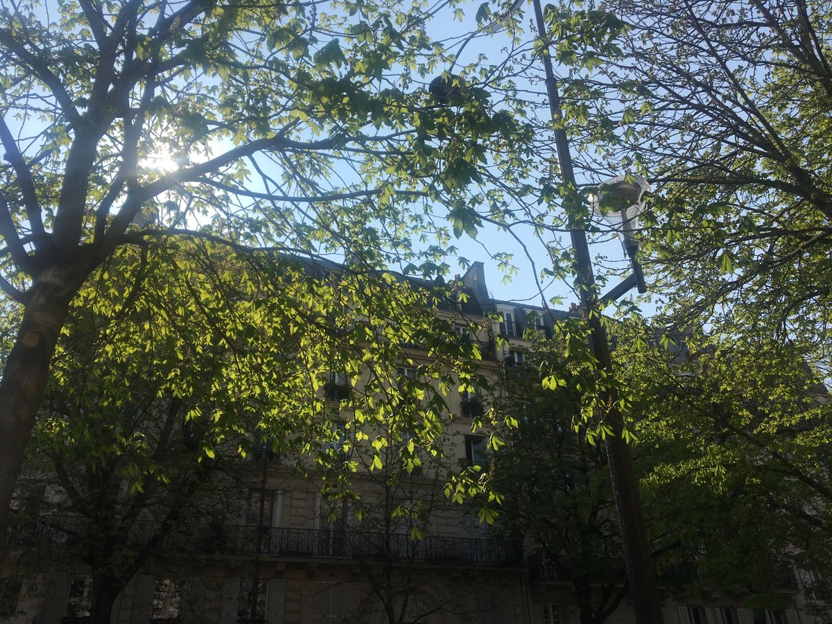 ApartCheck's tweet image. Beginning #April the way we hope it will continue. Full of #sunshine , blue skies and coffee on the terrace @thebeansonfire !