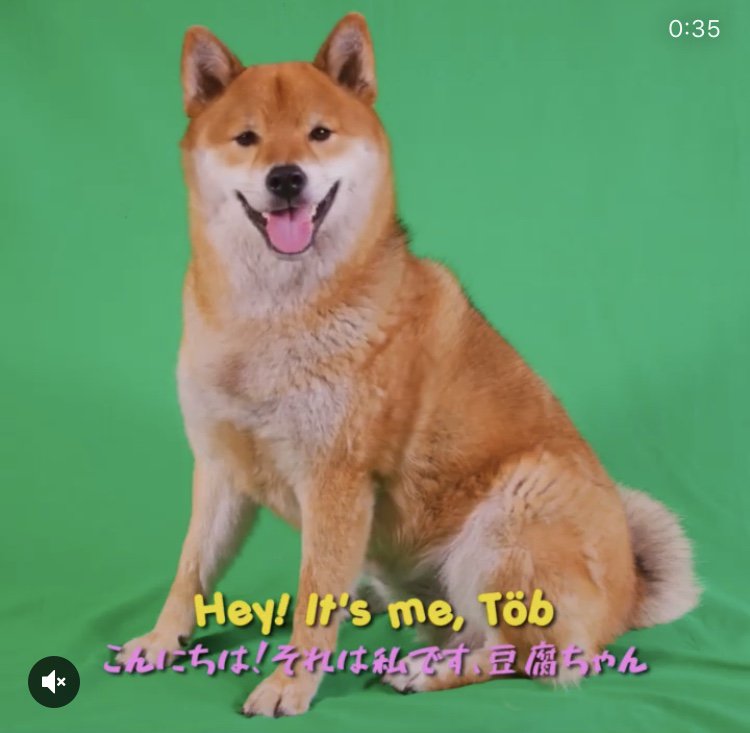 WholesomeMemes tweet media
