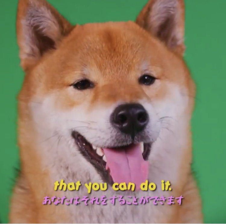WholesomeMemes tweet media