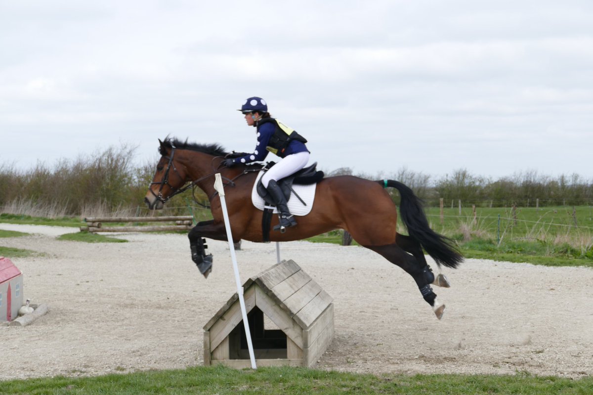 Horse_events's tweet photo. Freya Webb competing for @CokethorpeSch in the SEG Arena Eventing hosted by @BurfordSchool for Horse-Events 
#horseevents #treehousesportingcolours #schoolsequestriangames  #devoucoux #allsportinsurance #barnewoodboardingkennells #ArPartyplanning https://t.co/sfNySLdXn8