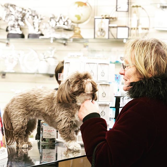 WhitesMarket's tweet photo. No joke, it's National Pet Month starts today until 6 May 2019.⠀
⠀
If you fancy a cuddle Lola and Toffee from @_thejewellerybox love to meet new people and you can buy treats for your pets in the Market from the Pet Shop.⠀
⠀
#shoplocal #shopsunderland #nationalpetmonth https://t.co/fWGWPreSRH