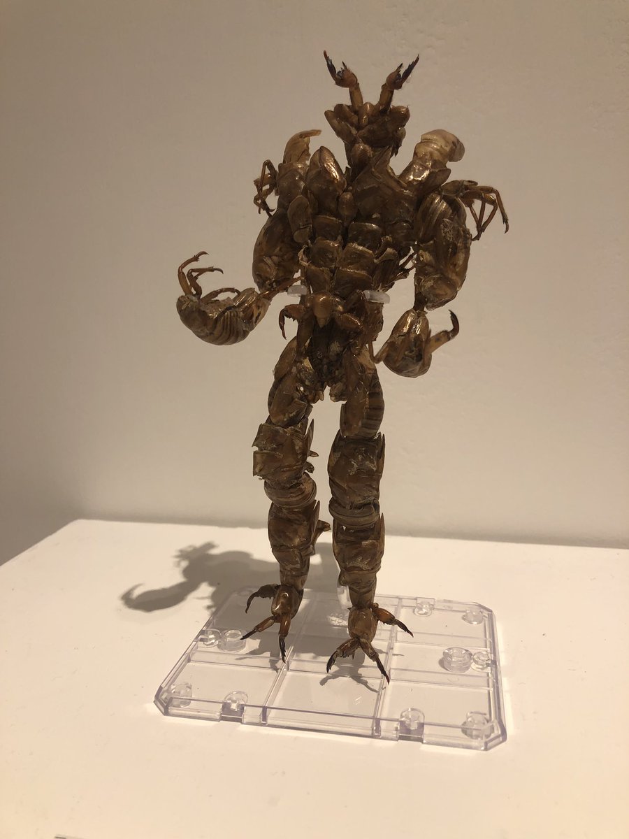 宇宙船のリンク セミの抜け殻で作った第2弾 空蝉丸 です 魔王から弱き小動物たちを守るために戦いますが生きるためなので自分も食べます 弱肉強食だもの しかたないね