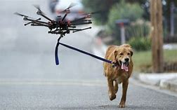 OakdownHolidays's tweet image. Have you heard about the new Dog walking Drone ? 

#dogtech #JeremyVine #aprilfool