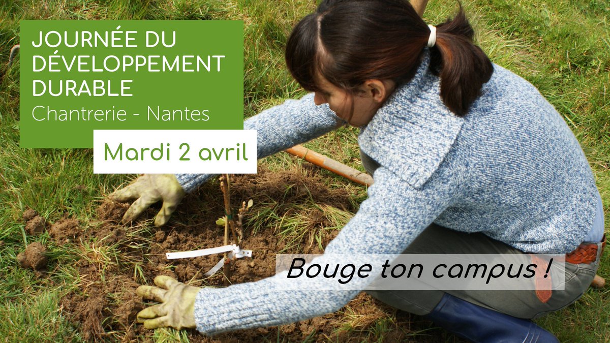 IMTAtlantique's tweet photo. 🌱 La semaine étudiante du développement durable est lancée !
Disco soupe et eco-run au programme 🌎

Voici les programmes des différents campus : 
à Brest : https://t.co/9L0GdGM9kH
à Nantes : https://t.co/o6SpKKzxYc https://t.co/JHqsdJh2M1