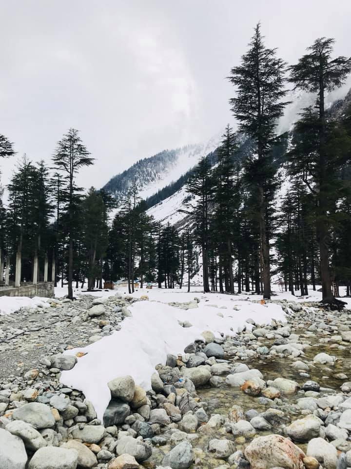 pakistan_click's tweet photo. Ploga, Kalam Malakand Division
Photos by: Syed Abrar Najmi
#swat #kalam #ushu_village #clickpakistan https://t.co/9nt3nHIJmD