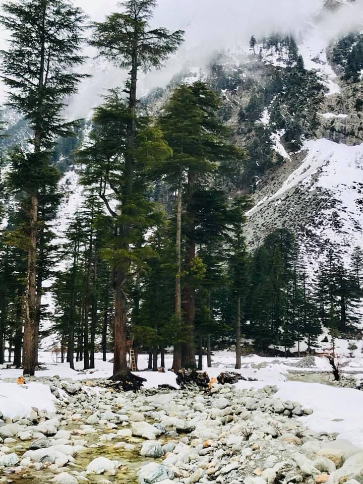 pakistan_click's tweet photo. Ploga, Kalam Malakand Division
Photos by: Syed Abrar Najmi
#swat #kalam #ushu_village #clickpakistan https://t.co/9nt3nHIJmD