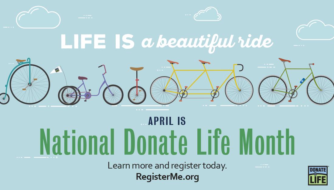 DonateLife's tweet image. It&apos;s National #DonateLifeMonth! 💙💚 The 2019 #NDLM theme is &quot;Life is a beautiful ride.&quot; We each carry the potential to help give life &amp;amp; hope by registering as a donor, considering living donation, being a caregiver &amp;amp; championing the #DonateLife cause. DonateLife.net