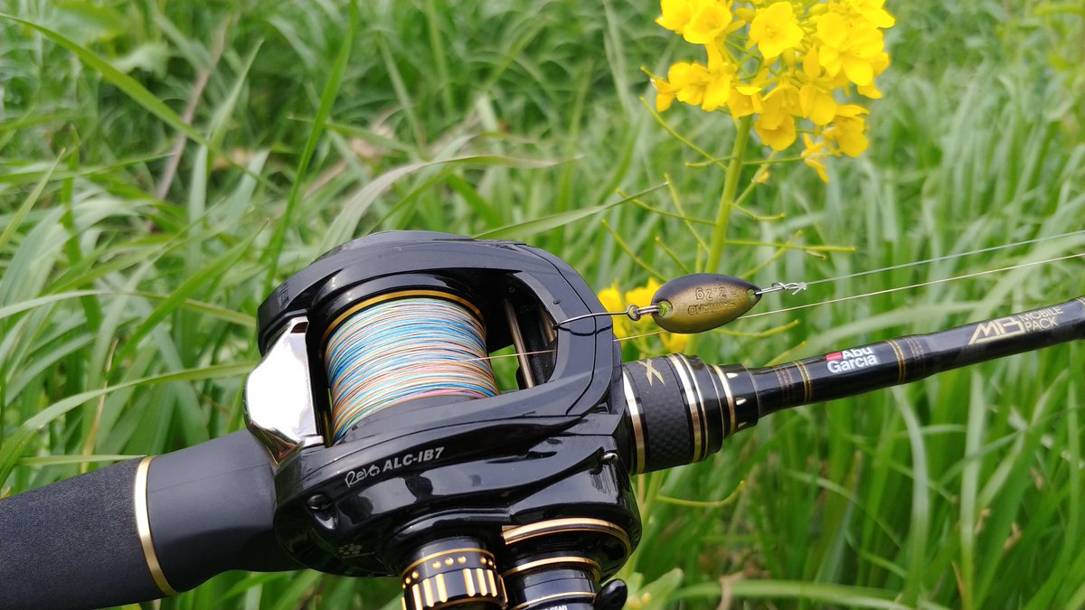 hmbait's tweet photo. #XRFC654MLBF #ALCIB7
PE0.8号200mリーダーナイロン14lb.
タイラバやったときのままのセットで、ロールスイマー2.2gが14m、1.8gで12m、1.5gは流石に厳しくて9m程飛びました。
マルタウグイは見えますが、釣れません。
以上、現場より。 https://t.co/FWYVrQBCTv