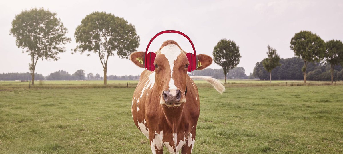 Lely launches Spotify list to stimulate the milk production. #Lely #BrightFarming

Read the full article: lely.com/us/press/2019/…