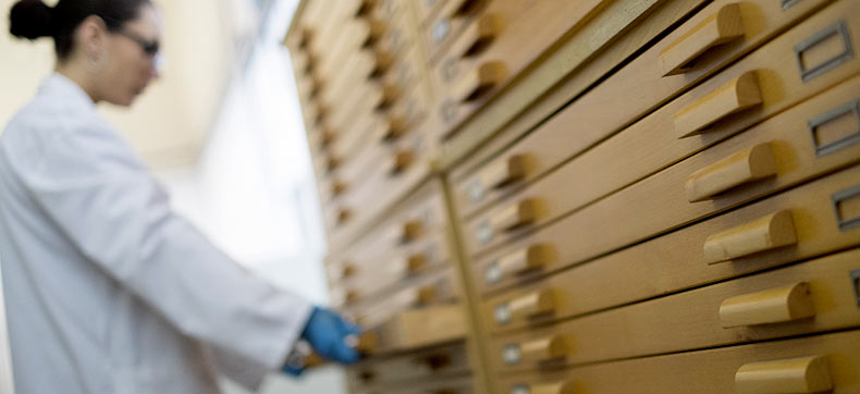 DiputacioGirona's tweet photo. 🔍Aprovació inicial de les bases de #subvencions per a projectes de millora de la gestió de #documents i #arxius dels #ajuntaments i entitats municipals descentralitzades de les #comarquesgironines. 👉 https://t.co/skBGugeDc3 https://t.co/d9p61q5Q1Z