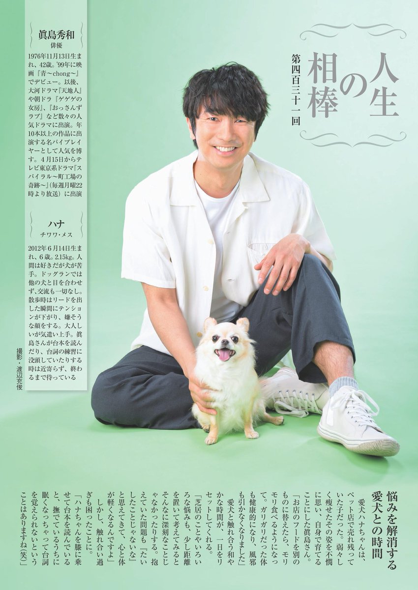 週刊現代 4月13日号の連載 人生の相棒 は俳優 眞島秀和 さんが チワワ のハナちゃんとともに登場 気遣い上手なハナちゃんは 眞島さんが台本を読んだり台詞の練習に没頭している時は近寄らず 終わるまで待っていてくれるそう わんこ