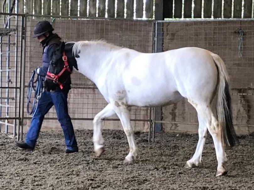 Sebastian Dawnay tweet media