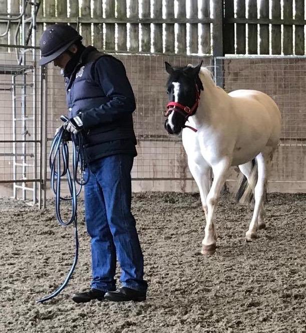 Sebastian Dawnay tweet media