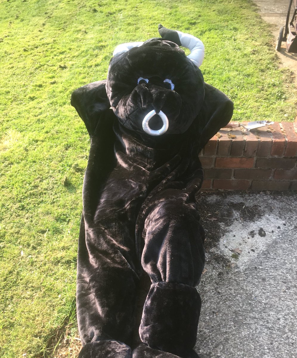 Fancy some sizzling beef? Or perhaps you prefer it slow cooked?
#GreatBritishBeefWeek #gbbw #dexterbeef #bbqsteak #slowcookedbeef <a href="/Ladiesinbeef1/">Ladies in Beef</a> <a href="/Newforestbeef/">New Forest Beef</a>