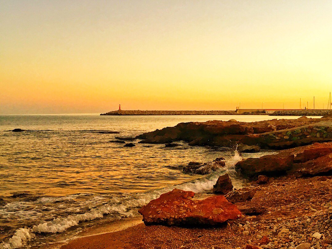 Alcanar Turisme tweet media