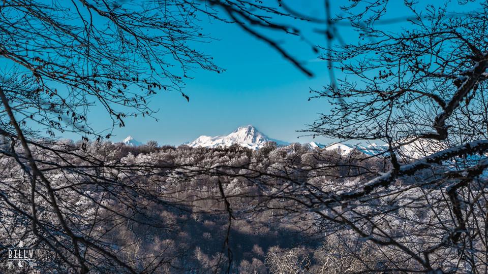 Discover the Georgian winter wonderland  🏔️⛷️☀️