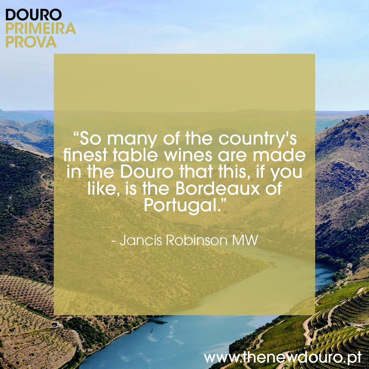 thenewdouro's tweet photo. The first joint-release tasting in the Douro Valley – hurry to book your seat!
↬ https://t.co/1fcV9C2hjM

#douroprimeiraprova19 #thenewdouro #dourovalley #primeiraprova #primeiraprova19 #TND #porto #regua #winetasting #portugal https://t.co/8wtA8Qxnro