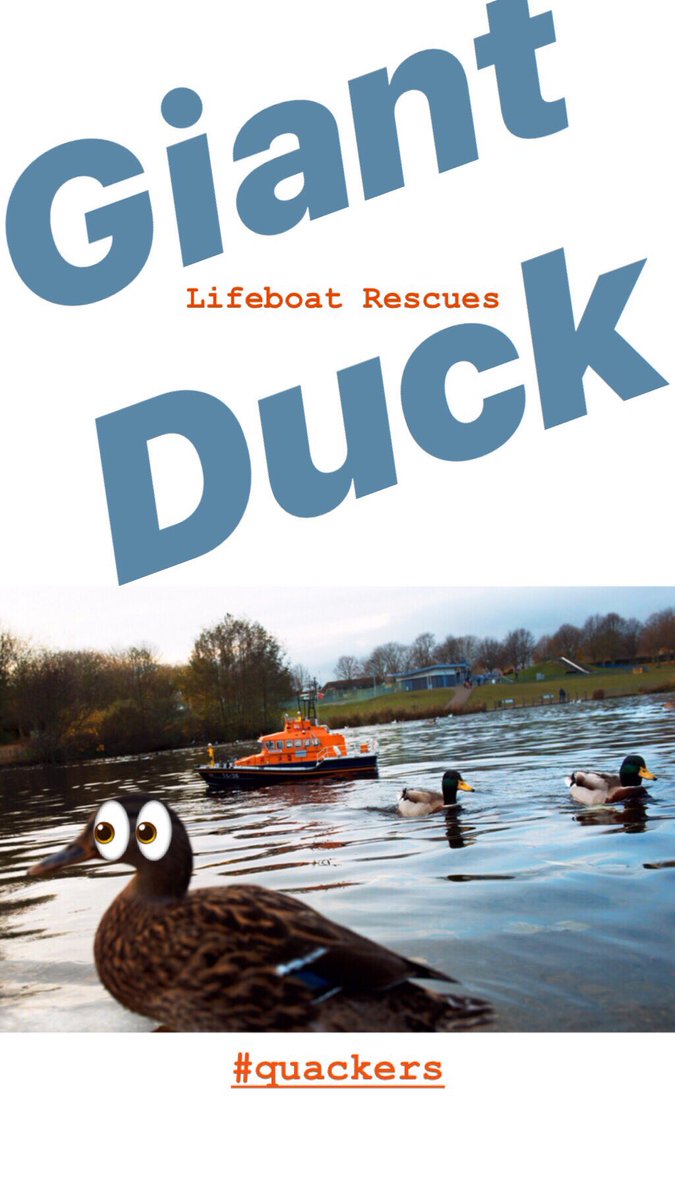 The #RNLI Lifeboat #launched at the quack of dawn-Conditions on scene were quackers, high winds/breaking seas. Her feet were tangled-she was a sitting duck.Spokesman for the duck, Nigel Mallard said “the #Volunteer crew were amazing-they got to work very quackly and didn’t flap”