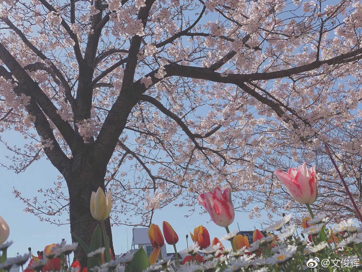 예쁘닝 ㅠㅠㅠㅠ 좋은 하루 보내 준아😽💖