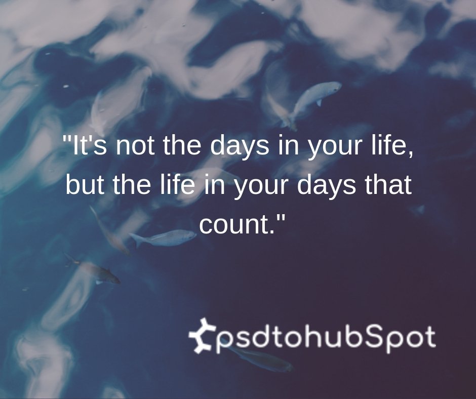 Psd2Hubspot's tweet photo. Live the days!!
#MondayMotivation #mondaythoughts 
visit: https://t.co/Z7RF2yeXRG https://t.co/EEEa4UUKZv