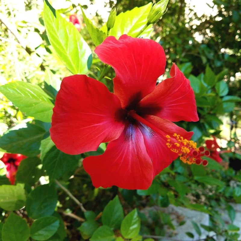 KpiScience's tweet photo. FOCUS TIGHTLY ON THE SUBJECT
Cut out the background noise. Avoid trying to convey many ideas at one time. Make online ads, landing pages, and messages about one thing, and one thing only. Then, be prepared to repeat that message.  #contentmarketing #seo https://t.co/TW0hGT4LJZ https://t.co/IdlNocSslU