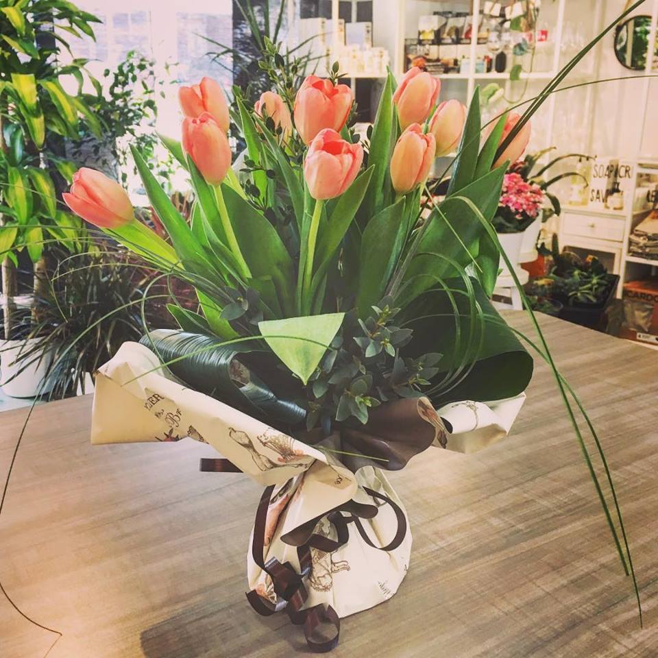 PolypapFrance's tweet photo. Des tulipes pour bien commencer la semaine !
Merci Aux Mille Et Une Fleurs #Canada pour ce jolie bouquet habillé de notre polypro "Miss Paris" Corail / Beige café 🌷
#France #Canada #Emballage #Fleurs #Fleuriste #Bouquet #Tulipes https://t.co/F1HH48ZFk9